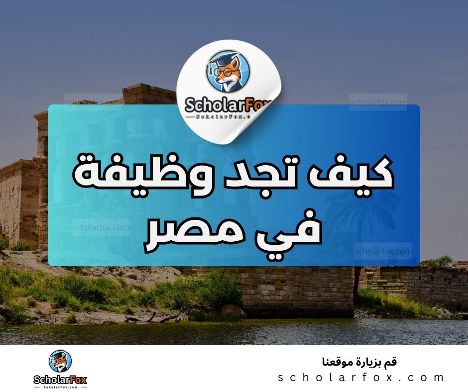 البحث عن الوظائف في مصر | دليل شامل للبحث عن وظيفة في مصر