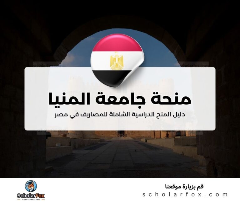 36 منحة جامعة المنيا