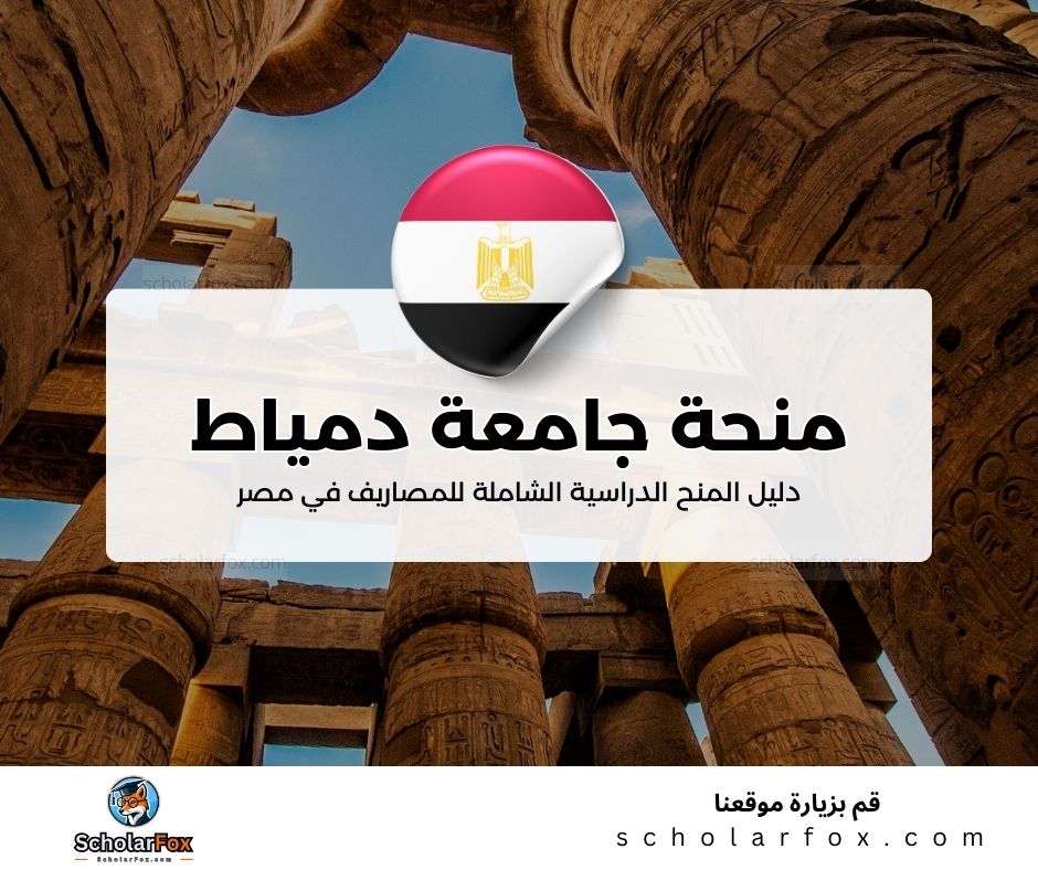 37 منحة جامعة دمياط