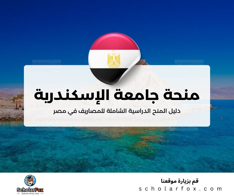 38 منحة جامعة الإسكندرية