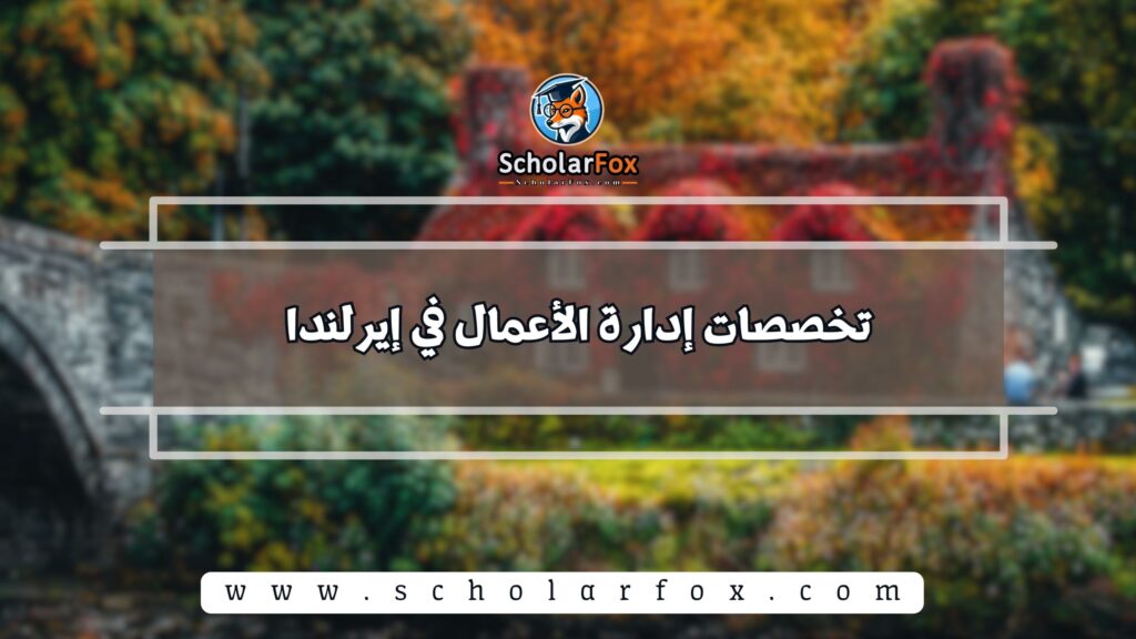 تخصصات إدارة الأعمال في إيرلندا