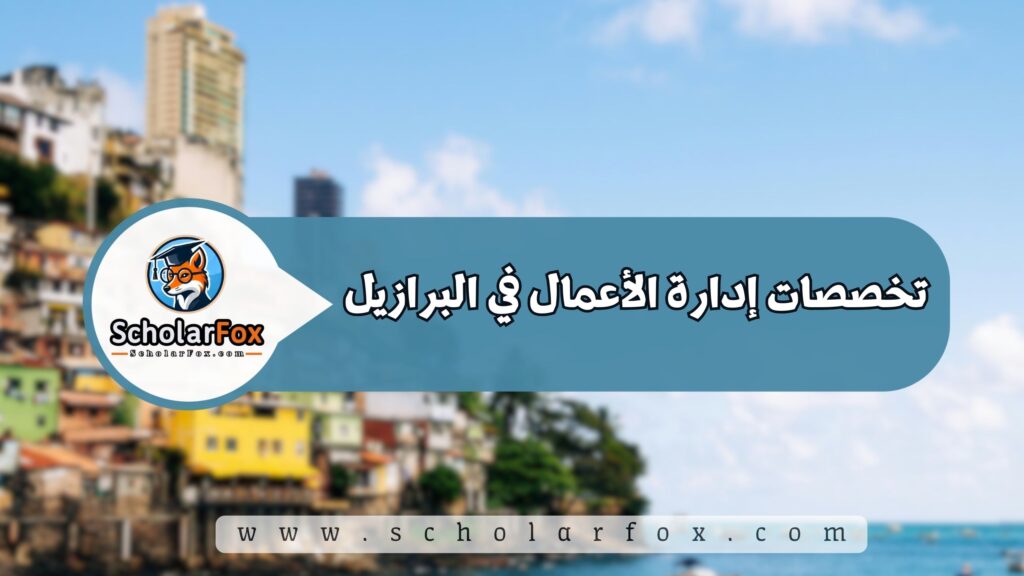 تخصصات إدارة الأعمال في البرازيل