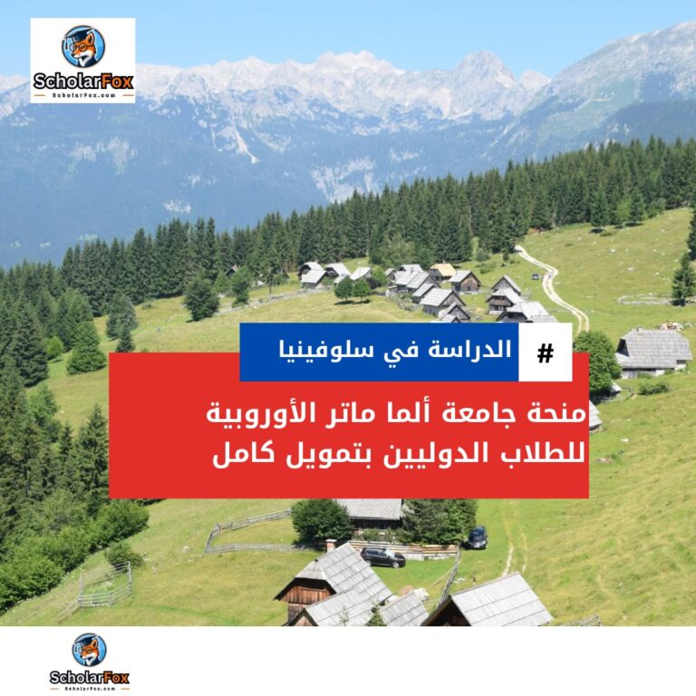 scholarfox Nour only 2 منحة جامعة ألما ماتر الأوروبية