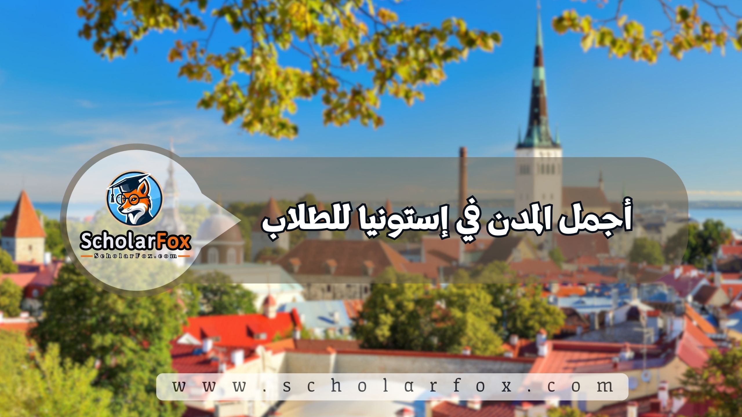 1 5 أجمل المدن في إستونيا للطلاب