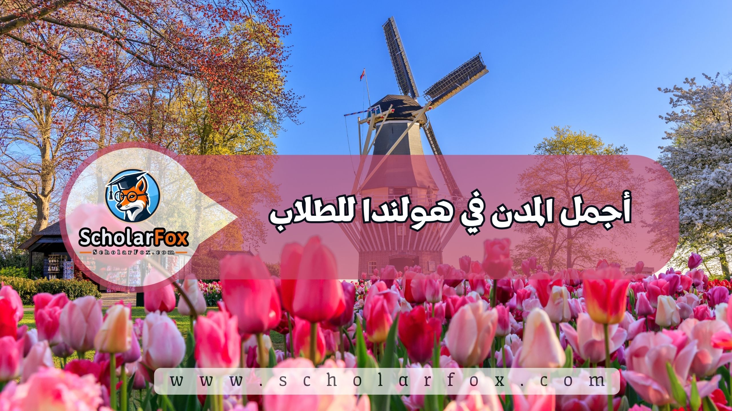 1 51 أجمل المدن في هولندا للطلاب