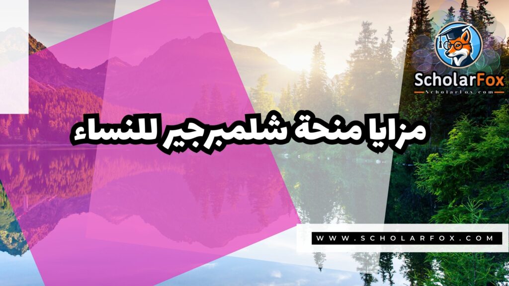 منحة شلمبرجير للنساء 2 صور المنح للموقع scholarfox 51 منحة شلمبرجير للنساء