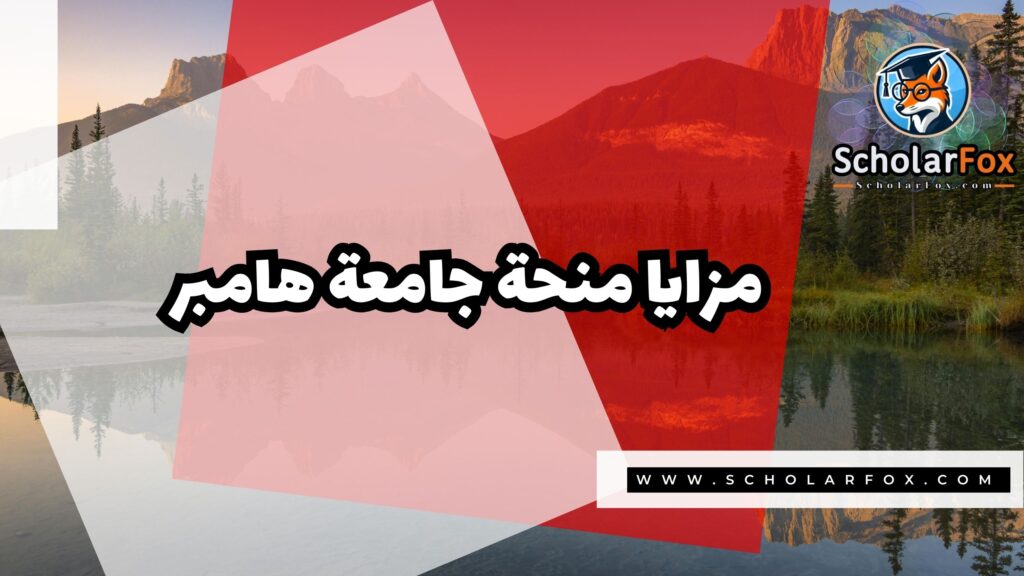 منحة جامعة هامبر 2 صور المنح للموقع scholarfox 8 منحة جامعة هامبر