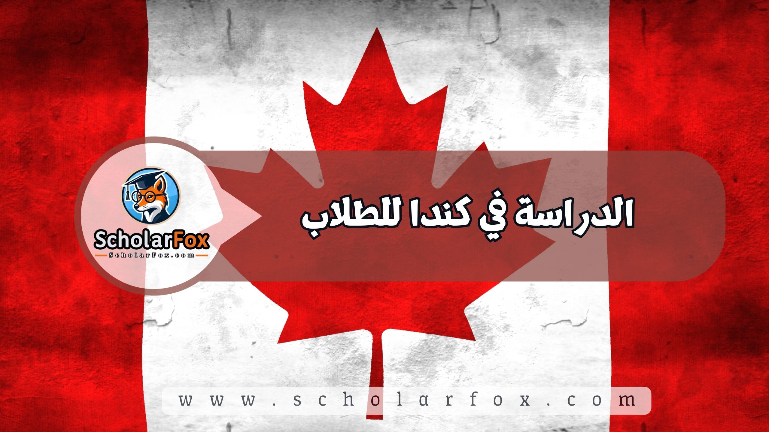 1 3 الدراسة في كندا للطلاب
