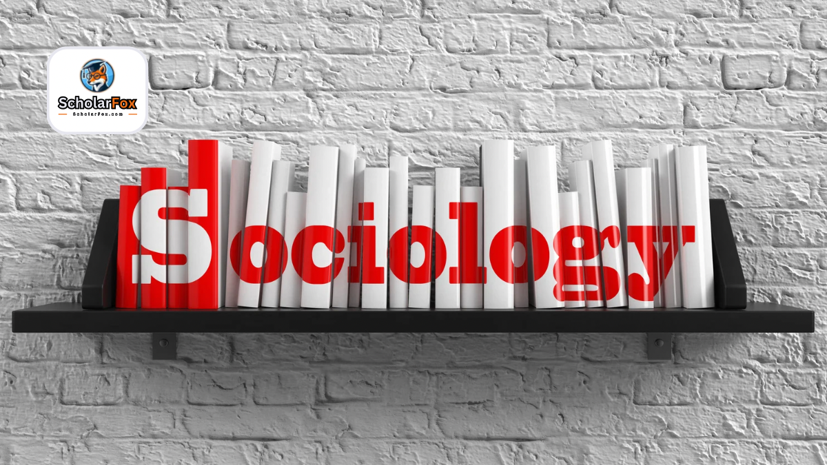 Copy of Nour Scholarfox 58 علم الاجتماع