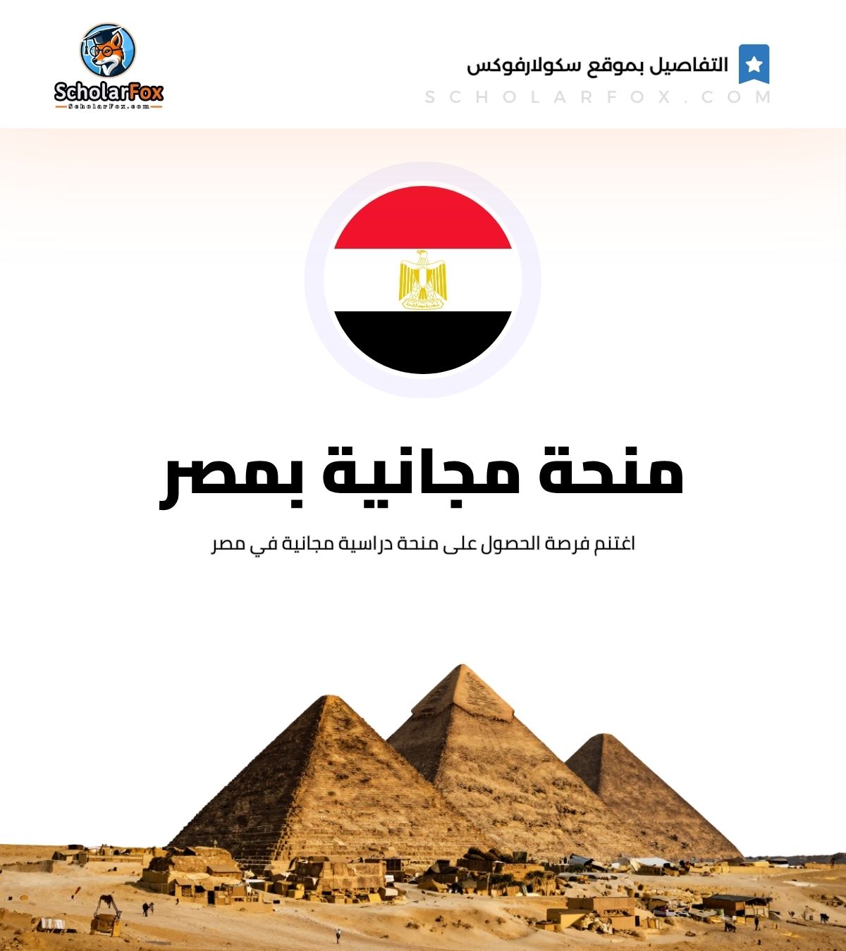 منحة جامعة عين شمس منحة جامعة عين شمس
